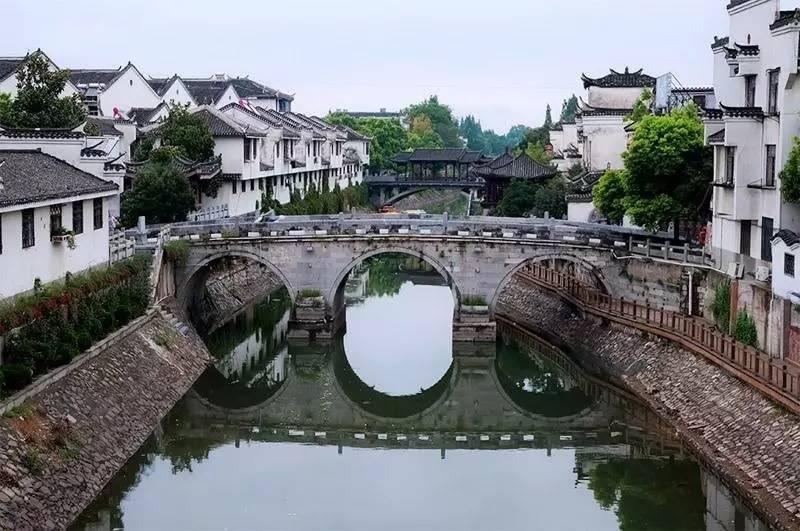 救援大嘴鸟